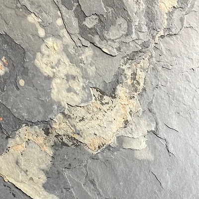 Autumn Rustic Slate Stone Veneer