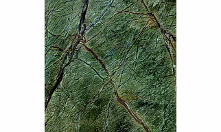 Rainforest Green Marble Stone Veneer Sheet