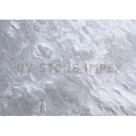 Silver Metallic Veneer