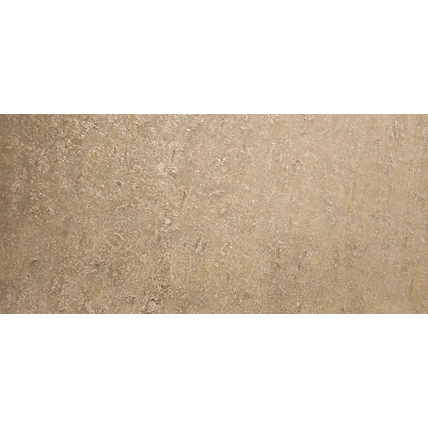 Vintage Shine Stone Veneer-2