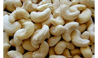 Cashew