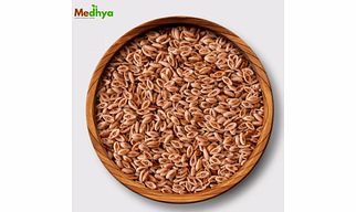 Raw Psyllium Seed (Isabgol) 99% Purity Sortex Dried  Pharma Grade | AD Processed Bulk Supplier for Ingredient Supplier
