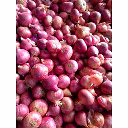 no brand fresh red onion