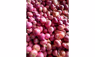 Fresh Red Onion