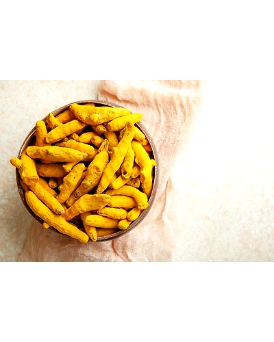 Turmeric Finger ( Curcuma Longa )-2