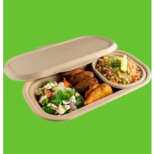 Biodegradable 500 ml Disposable Container with lid .