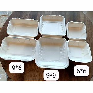 Premium Bagasse Clamshell Containers - Eco-Friendly and Sustainable Dining Solutions