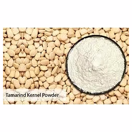adinath processing industries pvt ltd tamarind kernel powder