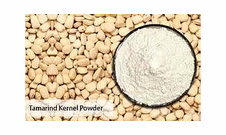 Tamarind Kernel Powder