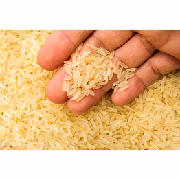 premium odisha rice –parboiled & raw varieties