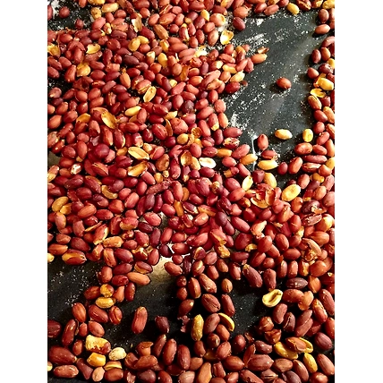 Peanuts- 1KG-008