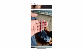Wire nails