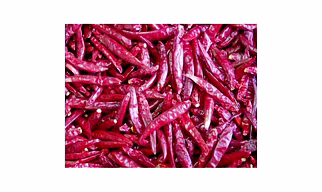 ROMI 26 CHILLI