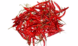 SUPER 10 (S10) RED CHILLI