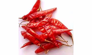 S 4/S 334 SANNAM CHILLI