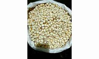 Foxnut (Makhana)