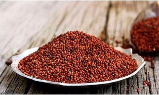 Ragi ( Finger millet )