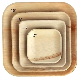 Areca Leaf Plates