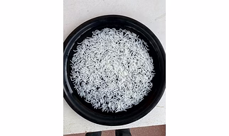 Basmati rice 1121