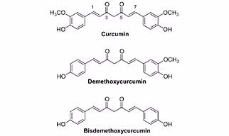 curcumine 95%