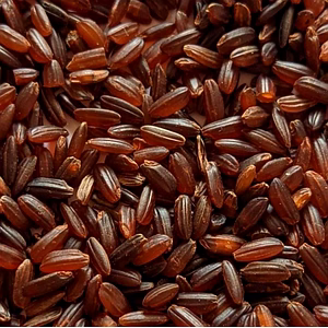 Authentic Mappillai Samba Rice - Premium Quality Red Rice from Tamil Nadu