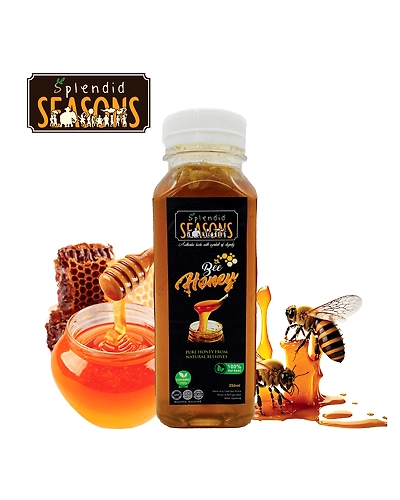 Natural Rain Forest Bee Honey - 250ml-1019495-2c2bb26f
