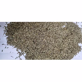 cumin seeds