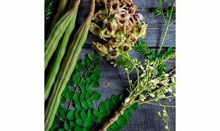 Fresh Drumstick Moriga (pods)/Moriga Seeds/Moriga Powder
