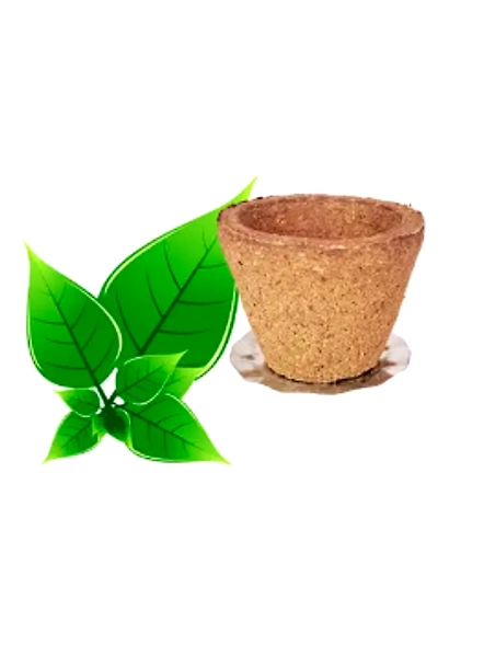 SUCHETAS INDIA Cow Dong Empty Cup for Havan - 30 No. Jar-2