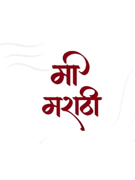 Suchetas India Language Learning Hindi &amp; Marathi-2