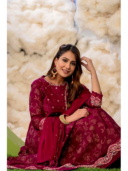Indian Jaipuri Special Woman Gowns-2