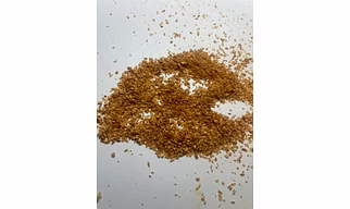 Dehydrated garlic granules
