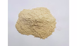 Dehydrated Garlic Powder