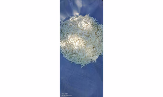 Dehydrated white onion flakes