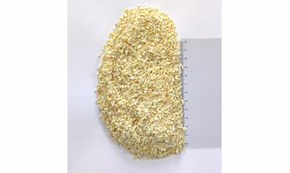 Dehydrated white onion minced