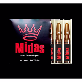 midas
