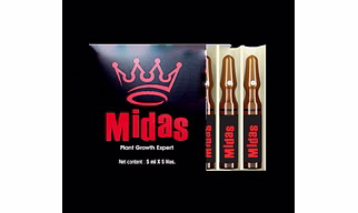 Midas