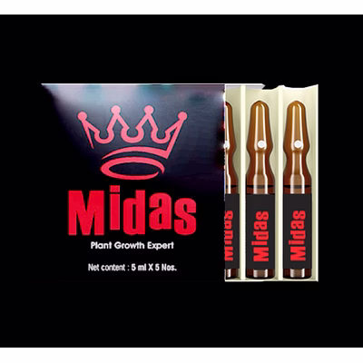midas