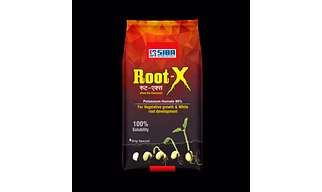 Root-X