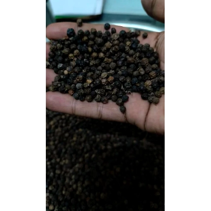 Black pepper-2