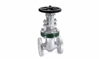 Globix Steel Gate Valve