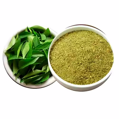 aromatic indian curry leaves for cooking