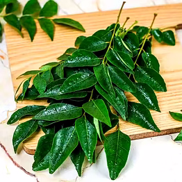 high-quality curry leaves - freshly packed