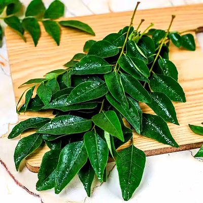 high-quality curry leaves - freshly packed