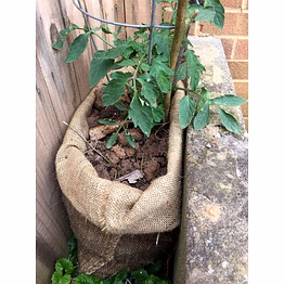 plain jute gunny bag – ideal for agro packaging & storage needs