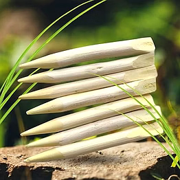 fresh neem datun sticks – natural antibacterial toothbrush alternative