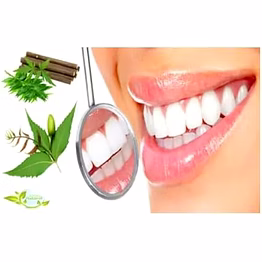 neem toothbrush twigs – relieves toothache & promotes dental wellness