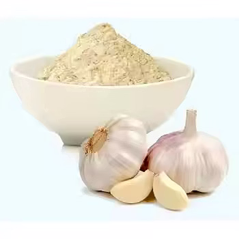 Premium Quality Garlic Powder image 5