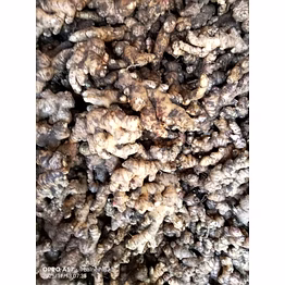 fresh ginger