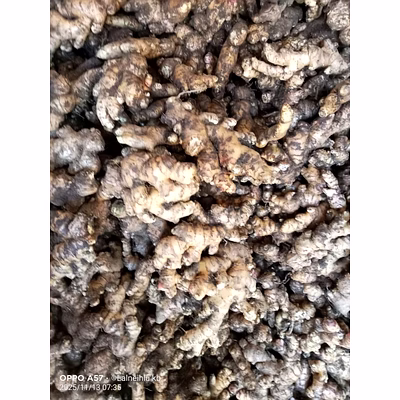 fresh ginger